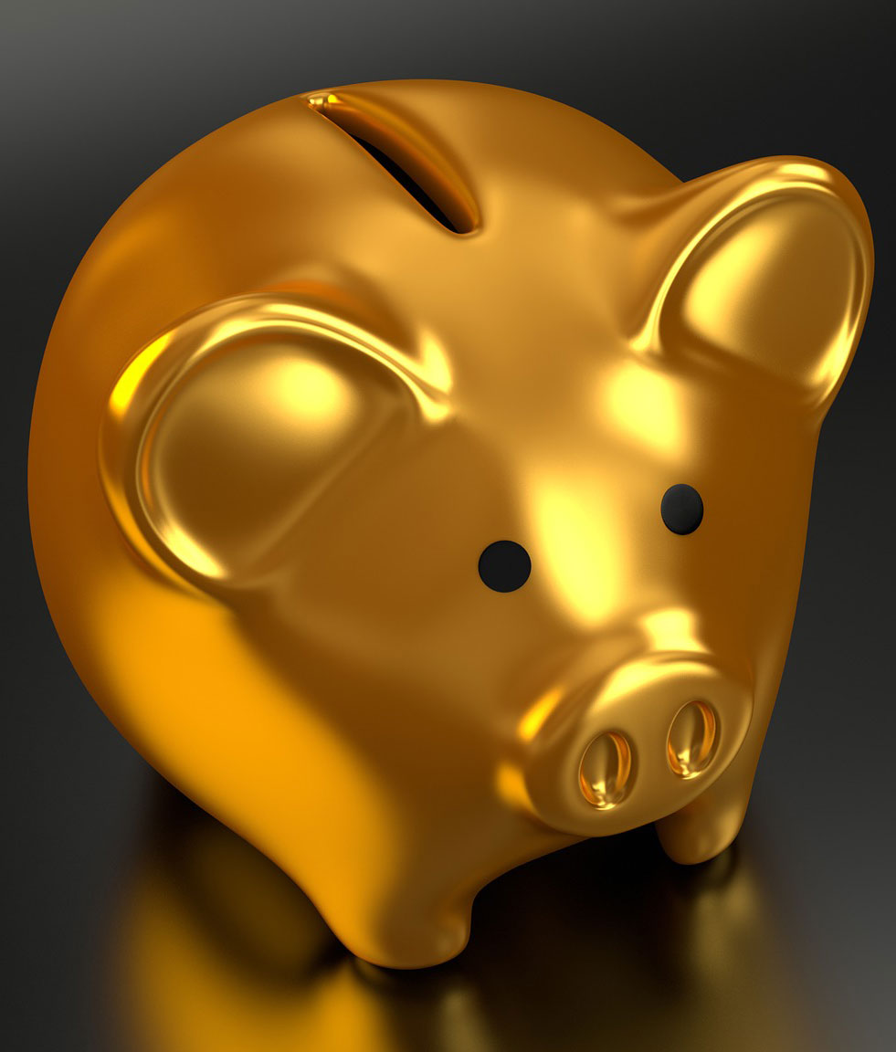 piggy-bank-2889046_1920